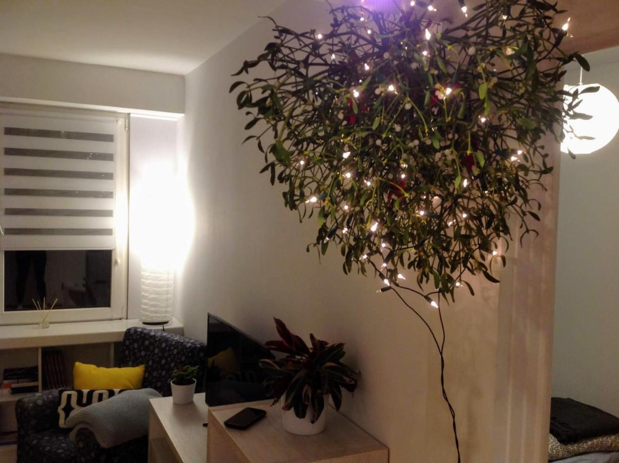 Apartament Usmiech Płock Dış mekan fotoğraf